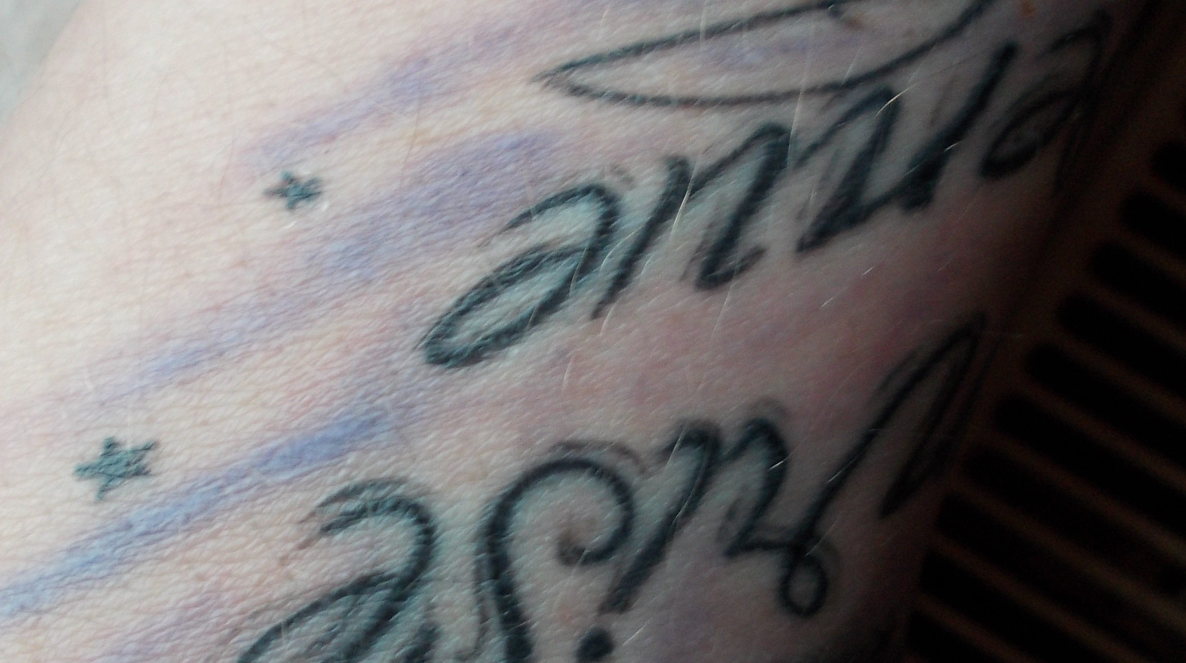 katze71: Tattoo - einen Monat alt